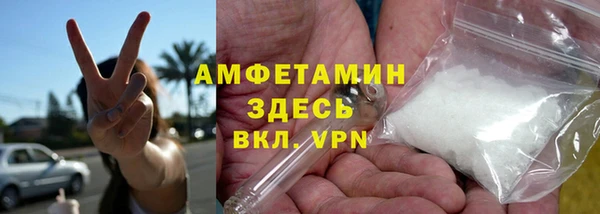 индика Пестово
