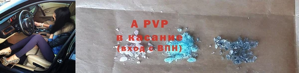 индика Пестово