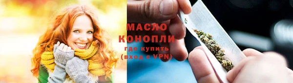 индика Пестово