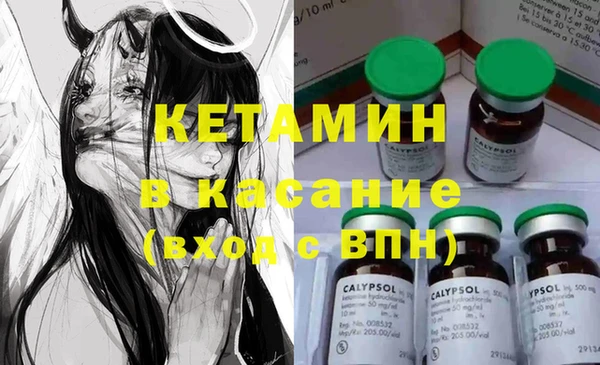 индика Пестово