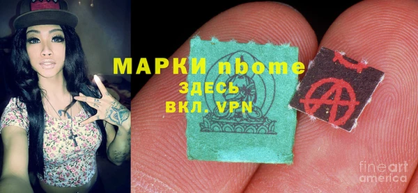 индика Пестово