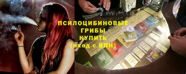 индика Пестово