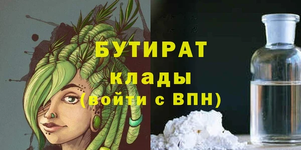 индика Пестово