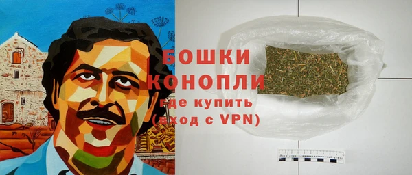 индика Пестово