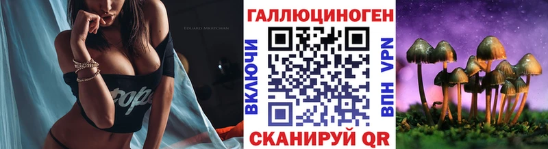 Галлюциногенные грибы Magic Shrooms  Купить  Гулькевичи 