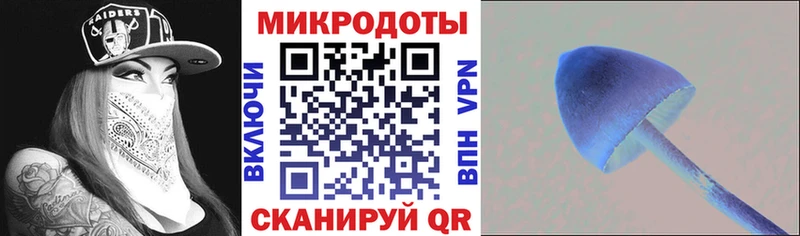 Псилоцибиновые грибы мицелий Гулькевичи